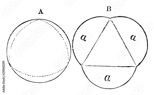 Action of Semilunar Valve, vintage illustration. photo