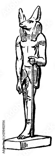 Anubis vintage illustration.