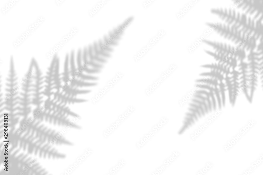 Shadow tropical of leaves on a white wall. Black and white image for photo overlay or layout Shadow tropical of leaves on a white wall. Black and white image for photo overlay or layout
