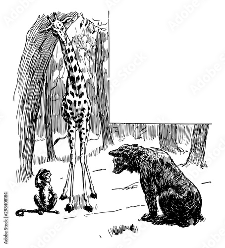 Giraffe & Monkey Looking at Bear Cub, vintage illustration.