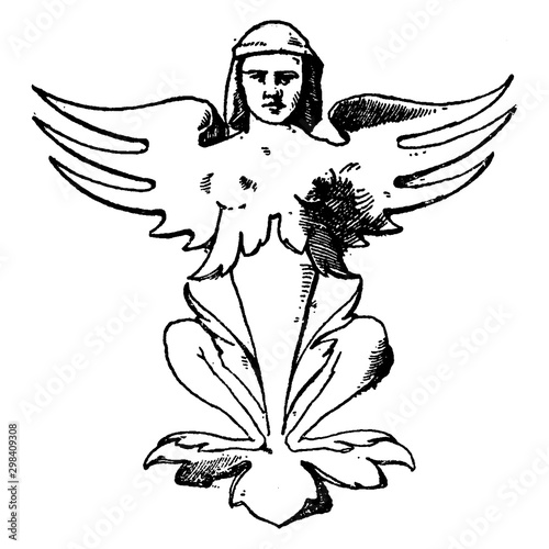 Winged Grotesque Pilaster is a squatting winged female without arms, vintage engraving.