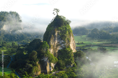 beautiful morning mist