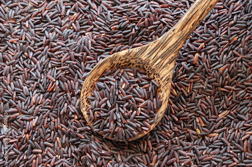 black rice with organic concept