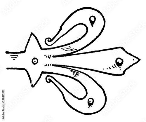 Plain Termination of Hinge, force rolls,  vintage engraving.