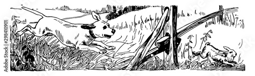 Dog Chasing, vintage illustration.