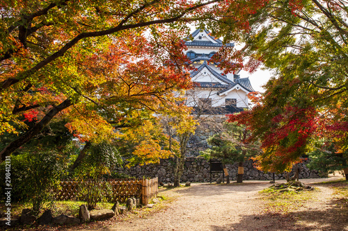 日本の秋 滋賀 彦根城25 　Autumn in Japan, Shiga Prefecture,Hikone Castle #25