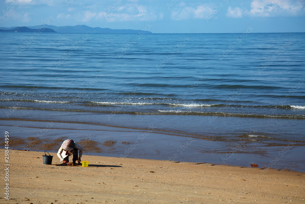Woman collecting shell on beach scene. Woman collecting shell on beach scene.