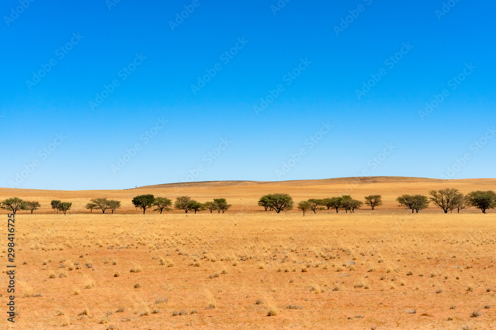 Beautiful view of desert with clear blue sky from road trip in NAMIBIA