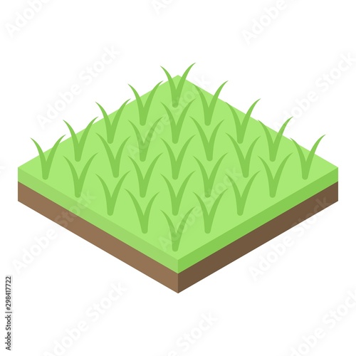 Rice plantation icon. Isometric of rice plantation vector icon for web design isolated on white background