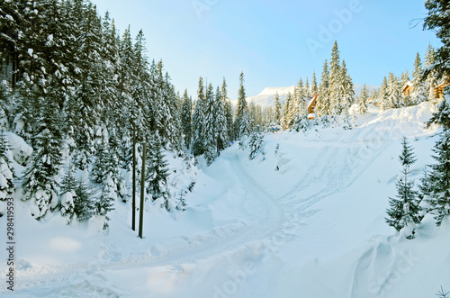 Beautiful winter landscape with snow covered treesWinter snow forest landscape. Winter snowy forest. Winter snow forest background