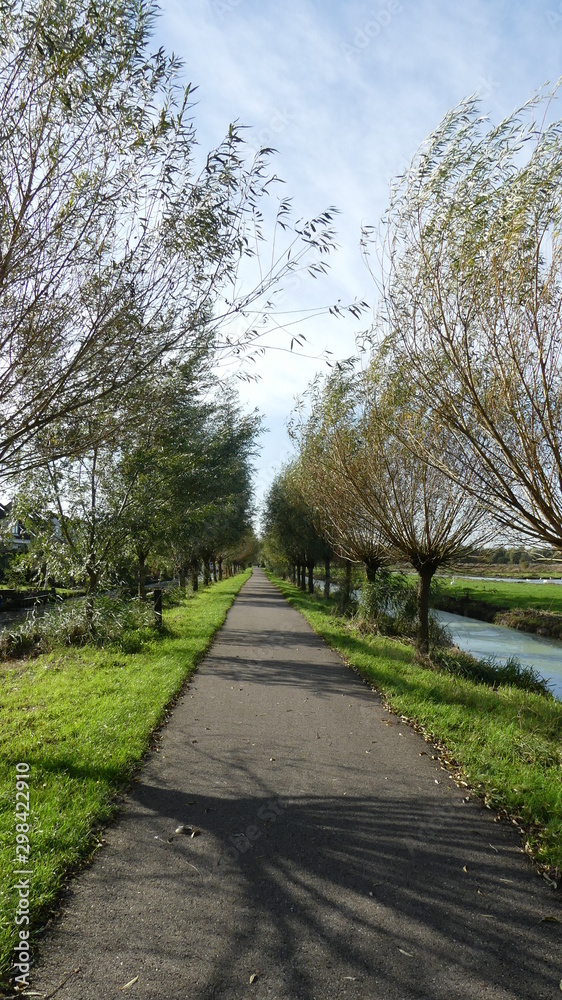 asphalt path with trees and river