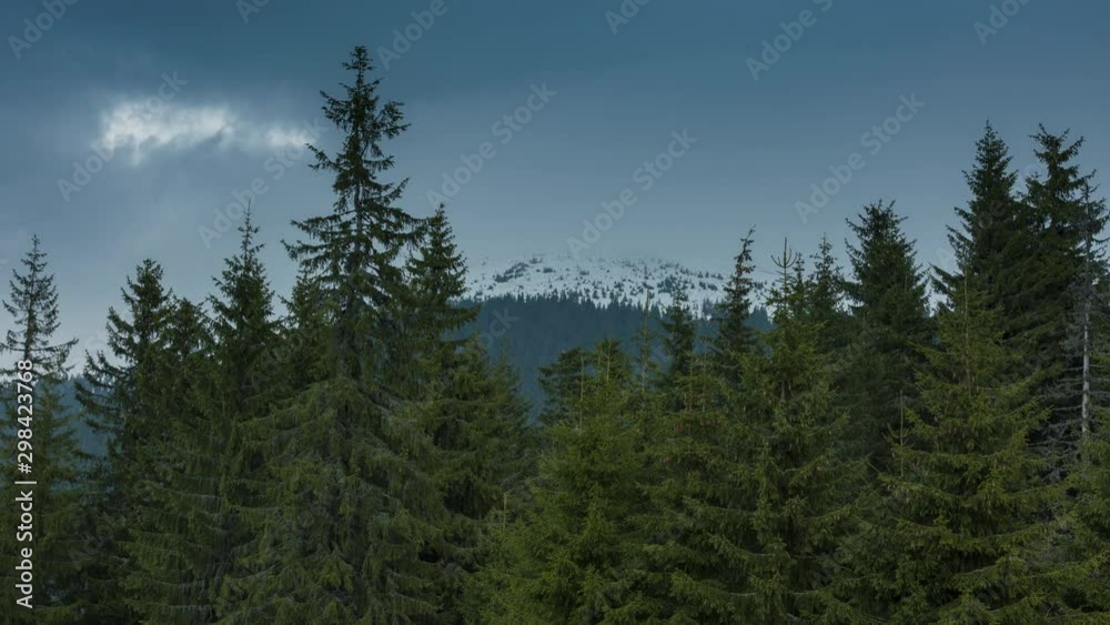 Coniferous forest with mist, fog and low clouds in Parang Mountains - Romania, Europe.
Time lapse shot. No birds, flicker free. Coniferous forest with mist, fog and low clouds in Parang Mountains - Romania, Europe.
Time lapse shot. No birds, flicker free.