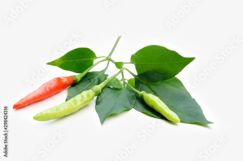 chilli with green leaves, Herb, Spice,isolated on white background