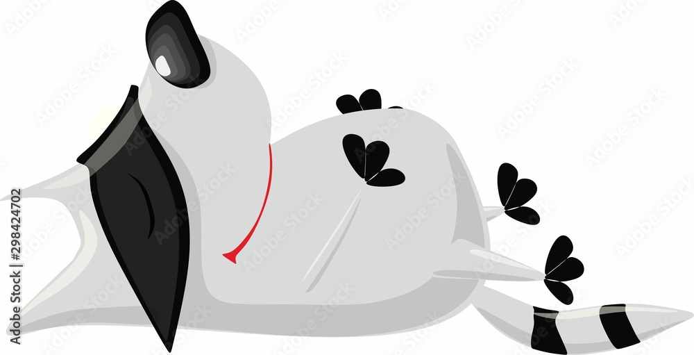 Sleeping raccoon in a black mask on a white background Sleeping raccoon in a black mask on a white background