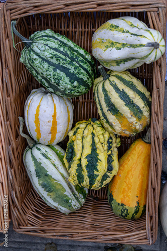 Sweet Dumpling Squash - small stripy very sweet pumpkin with the ridges. Plant based diet, vegetable is very nutritious and has all the vitamins b complex.