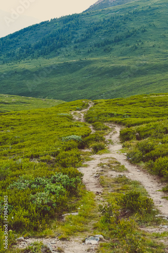 Dirt Hiking trail for trekking through green meadow