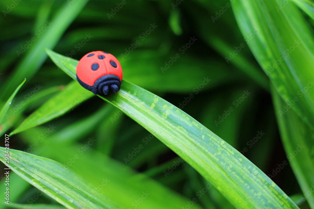 Eraser is a ladybug on a leaf Eraser is a ladybug on a leaf