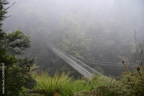 Suspension bridge in the mist, Corrigan Susupension Bridge, in the rain forest at Tarra Bulga National Park, Gippsland, Victoria, Australia