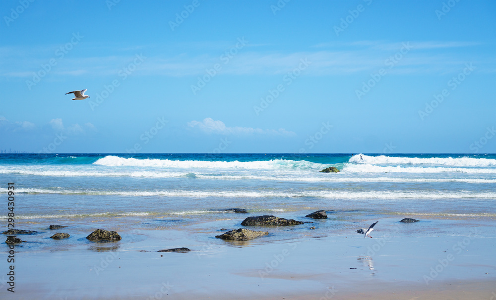 Stunning wide panorama of the Rainbow Bay Beach with surfing ocean waves and Gold Coast skyline in the background, Coolangatta, Queensland, Australia. 