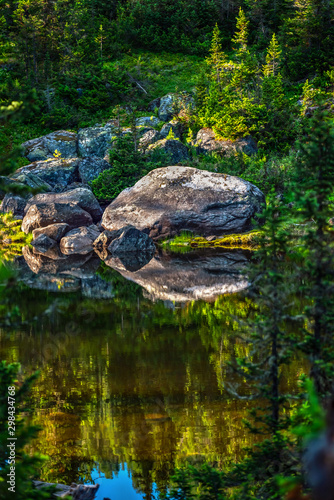 Big stone at deep wild green forest lake