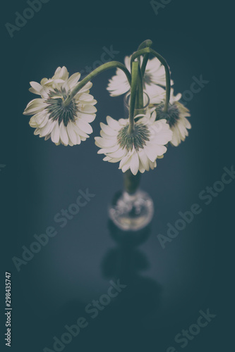 Wallpaper Mural Wither flowers in a vase Torontodigital.ca