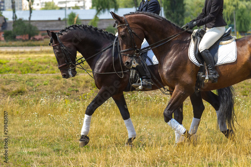 Two riders in the saddle, horses walk on the grass, part of the frame.