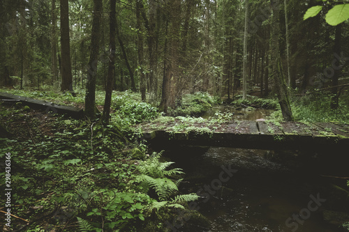 Dark and moody edit of a little creek in a magical fantasy forest in bavaria. Spooky mystical feeling. Rotten wooden bridge used by knights. Covered with fern and moss.