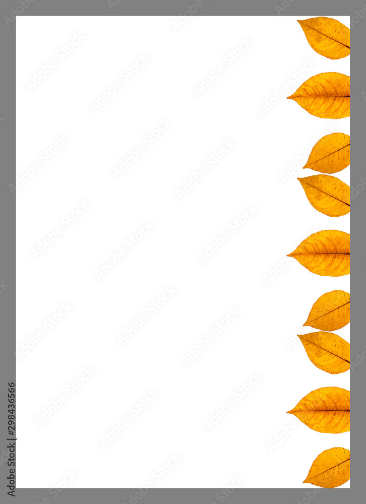 Periodiek Omgaan met liefde Weißes Briefpapier mit gelb orangen Blättern am rechten Rand Stock  Illustration | Adobe Stock