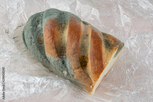 Mold on bread, a stale loaf with a large coating of mold. Close up.