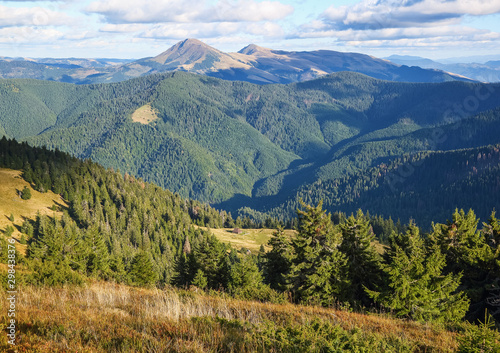 The landscape with the wooden hut and fence on the lawn with green fir trees, high mountains covered by forests, sky with clouds. Autumn sunny day.