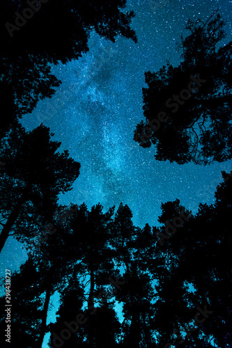 Galaxie Milchstra  e   ber Wald am Himmel der Nacht