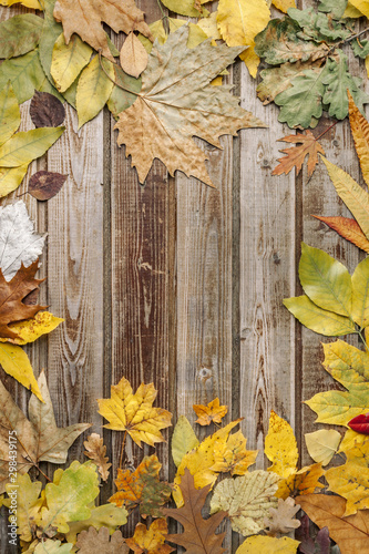 Dry autumn leaves on old wooden vintage background. Natural wood. Wood boards. The view from the top. Space for text.