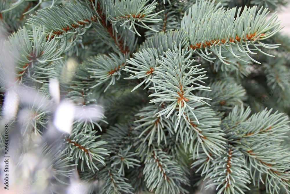 Christmas tree with tinsel closeup