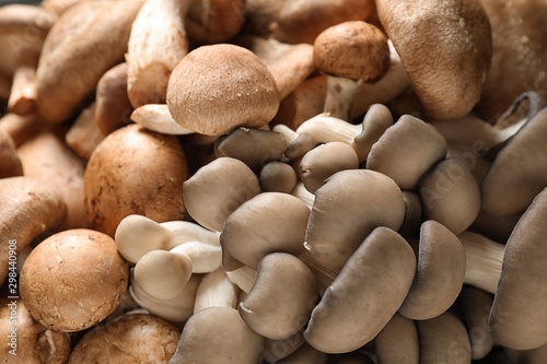 Different fresh wild mushrooms as background  closeup