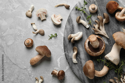Flat lay composition with fresh wild mushrooms on light grey table
