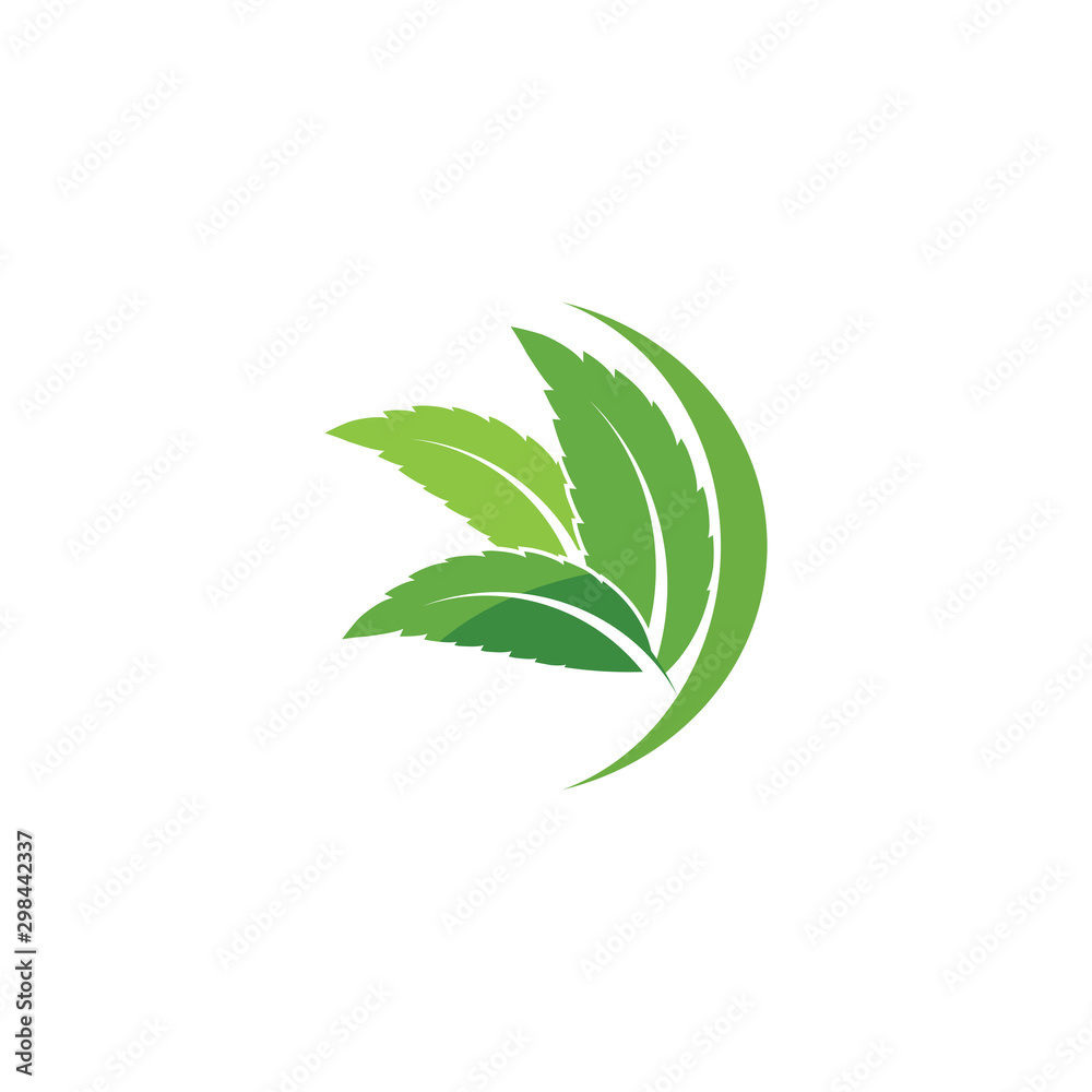 Leaf Logo Template vector symbol Leaf Logo Template vector symbol