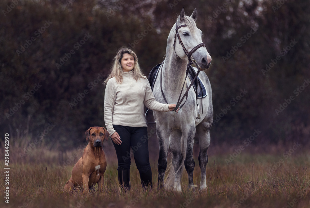 Beautiful girl posing with a purebred arabian horse outdoors. 