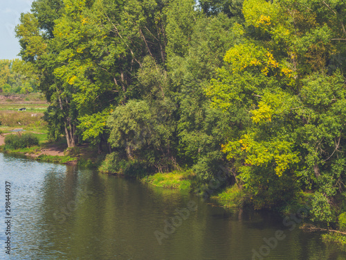 trees on riverside