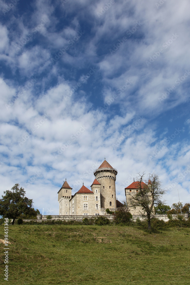 France, Lovagny, Montrottier Castle