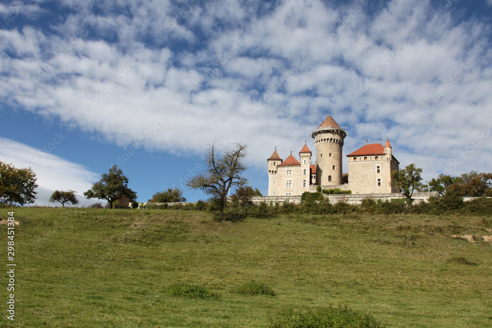 France, Lovagny, Montrottier Castle