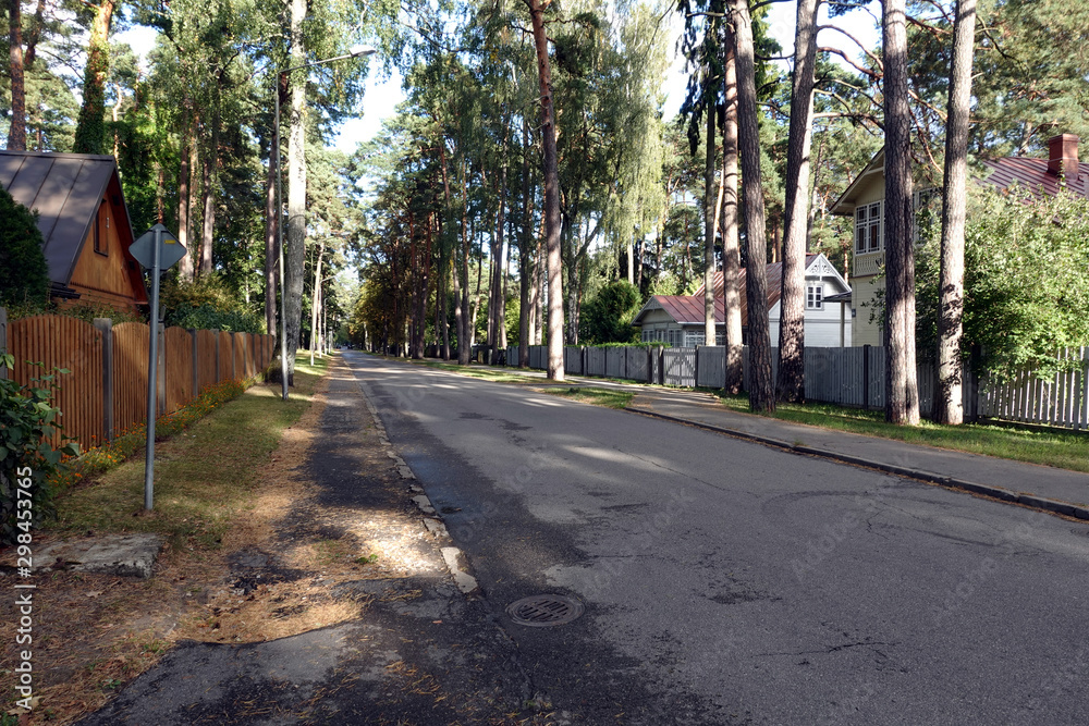 Quiet shady long asphalt street, leaving in perspective with high pines trees and retro wooden houses in the suburbs of Riga in Jurmala on a sunny autumn day