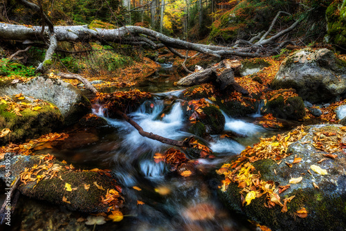 Autumn mountain colors of Old River ( Stara reka ) , located at Central Balkan national park in Bulgaria