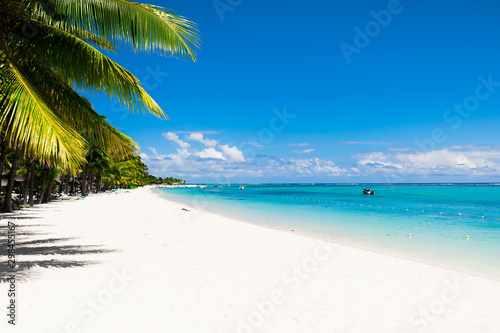 Tropical beach with ocean and blue sky © artifirsov