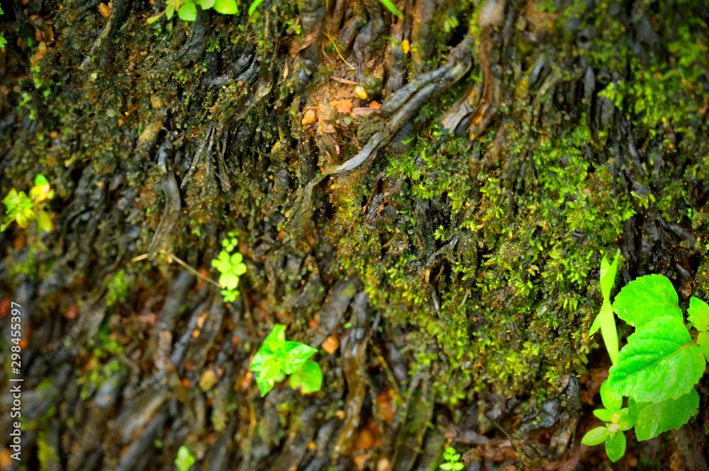 texture texture