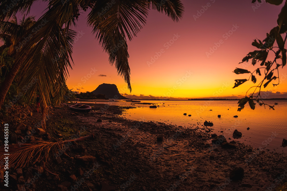 Coconut palm and low tide ocean at sunset time. Le Morn mountain on background