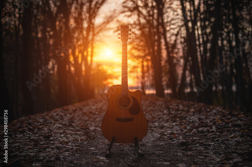 Acoustic guitar in the dark autumn forest.
