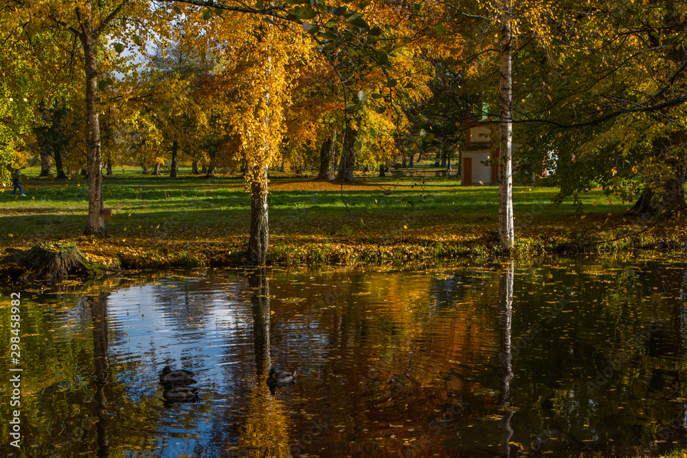 Autumn view at a park on the Drottningholm island in Stockholm with ponds and colour full trees