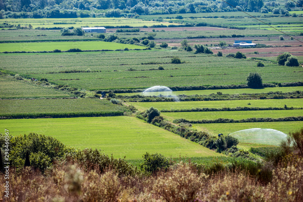 Obraz premium watering fields , Greece