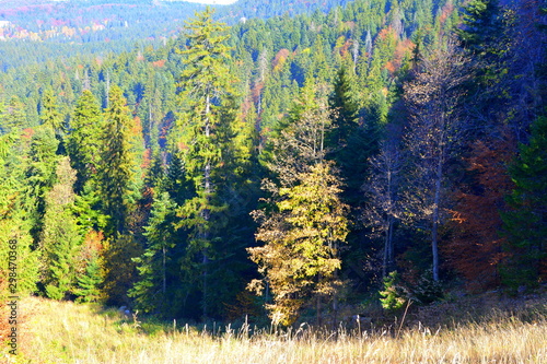 Landscape and view  from the mining railway Anin-Oravita in Banat, Transilvania photo