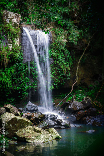 Scenic Curtis Falls in Tamborine National Park  Queensland  Australia